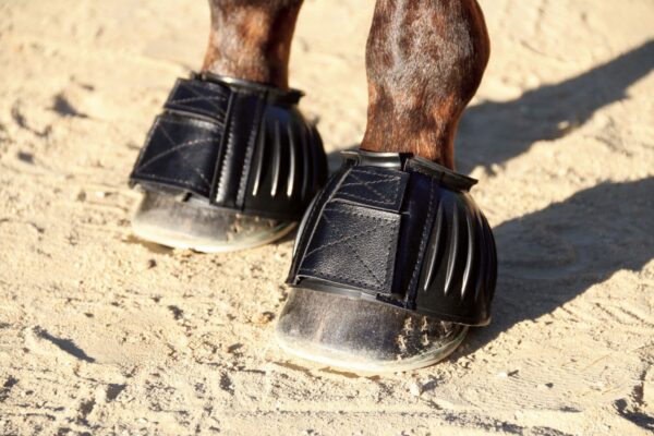 Romal Reins - Natural & Rawhide