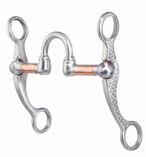Professional's Choice Rasp Shank - Correction Bit
