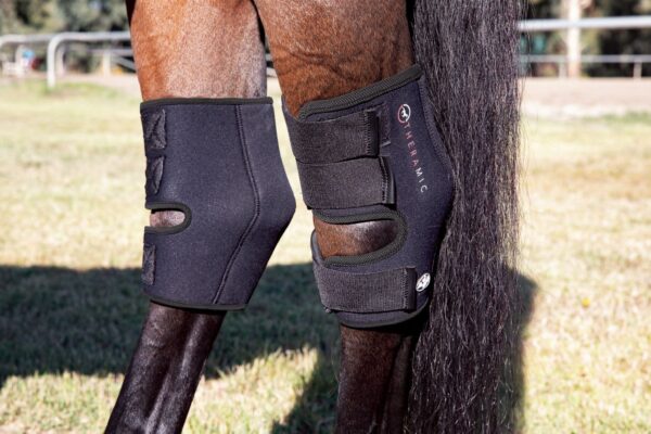 Professional's Choice Theramic Hock Boots