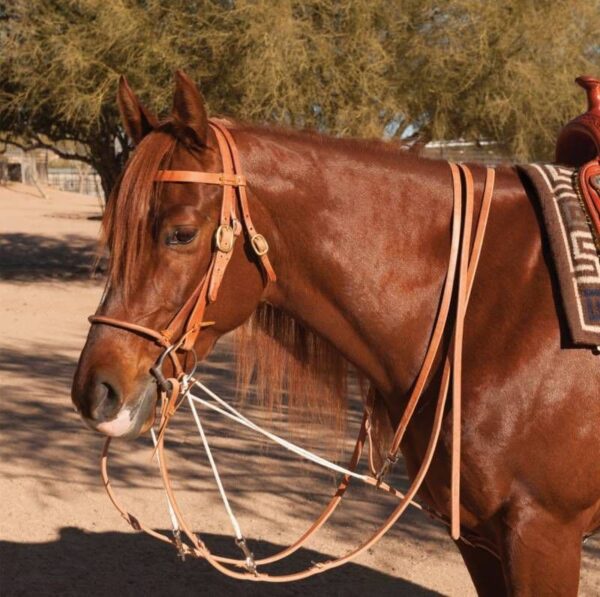 Schutz Brothers German Martingale with Split Reins